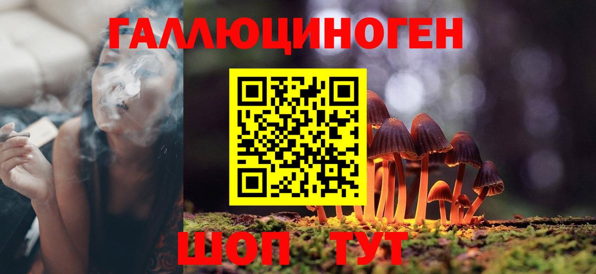 Георгиевск  Псилоцибиновые грибы GOLDEN TEACHER  Вход с VPN 